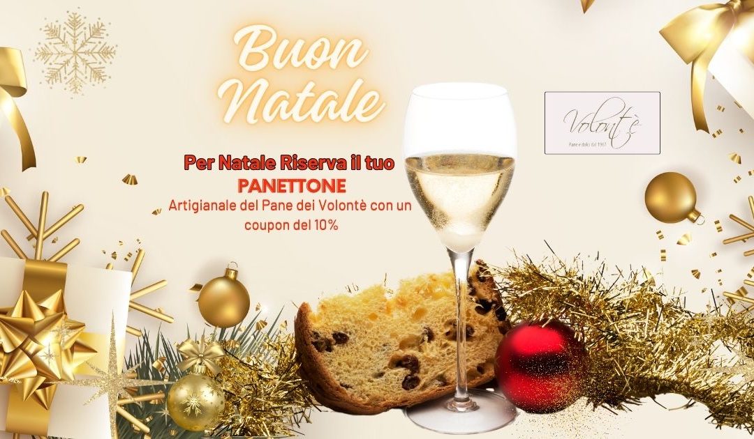 🍞 Panettoni del Pane dei Volonté: La Tradizione che Profuma di Natale! 🎄
