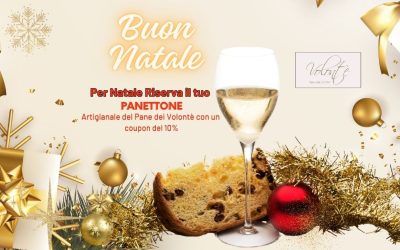 🍞 Panettoni del Pane dei Volonté: La Tradizione che Profuma di Natale! 🎄